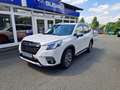 Subaru Forester 2.0ie Lineartronic Comfort Blanc - thumbnail 1