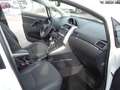 Toyota Verso 2,0 D-4D Lounge *Pano *AHK *Kamera Blanc - thumbnail 13
