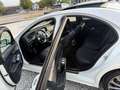 Mercedes-Benz S 350 d 4Matic AMG-Line Panorama Burmester top Zustand Weiß - thumbnail 12