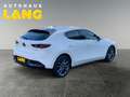 Mazda 3 3  SKYACTIV-G 2.0   M-HYBRID 150 Selection AUTOMAT Weiß - thumbnail 5