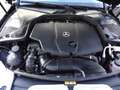 Mercedes-Benz C 220 Estate CDI Edition 1 | PANO | LEDER | BURMEISTER Negro - thumbnail 28