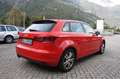 Audi A3 A3 III 2013 Sportback 2.0 tdi quattro Rosso - thumbnail 8