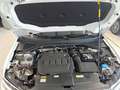 Volkswagen T-Roc GOAL TDI DSG CarPlay/AHK/Virt/ACC/Kamera Weiß - thumbnail 10