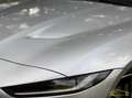 Jaguar F-Type P450 RWD R-Dynamic Black Gris - thumbnail 49