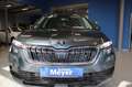 Skoda Kamiq 1.0 TSI DSG Ambition OPF LED/Sitzh./Temp./Kamera Šedá - thumbnail 2