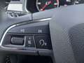 SEAT Arona Xcellence TDI DSG Grau - thumbnail 15
