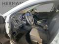 Renault Megane IV 1.3 TCe 115 Grandtour GPF Life *LED White - thumbnail 8
