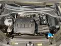 Volkswagen Tiguan 2,0 TDI Life DSG Grau - thumbnail 13