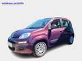 Fiat Panda Lounge 1.2 8V Mauve - thumbnail 2