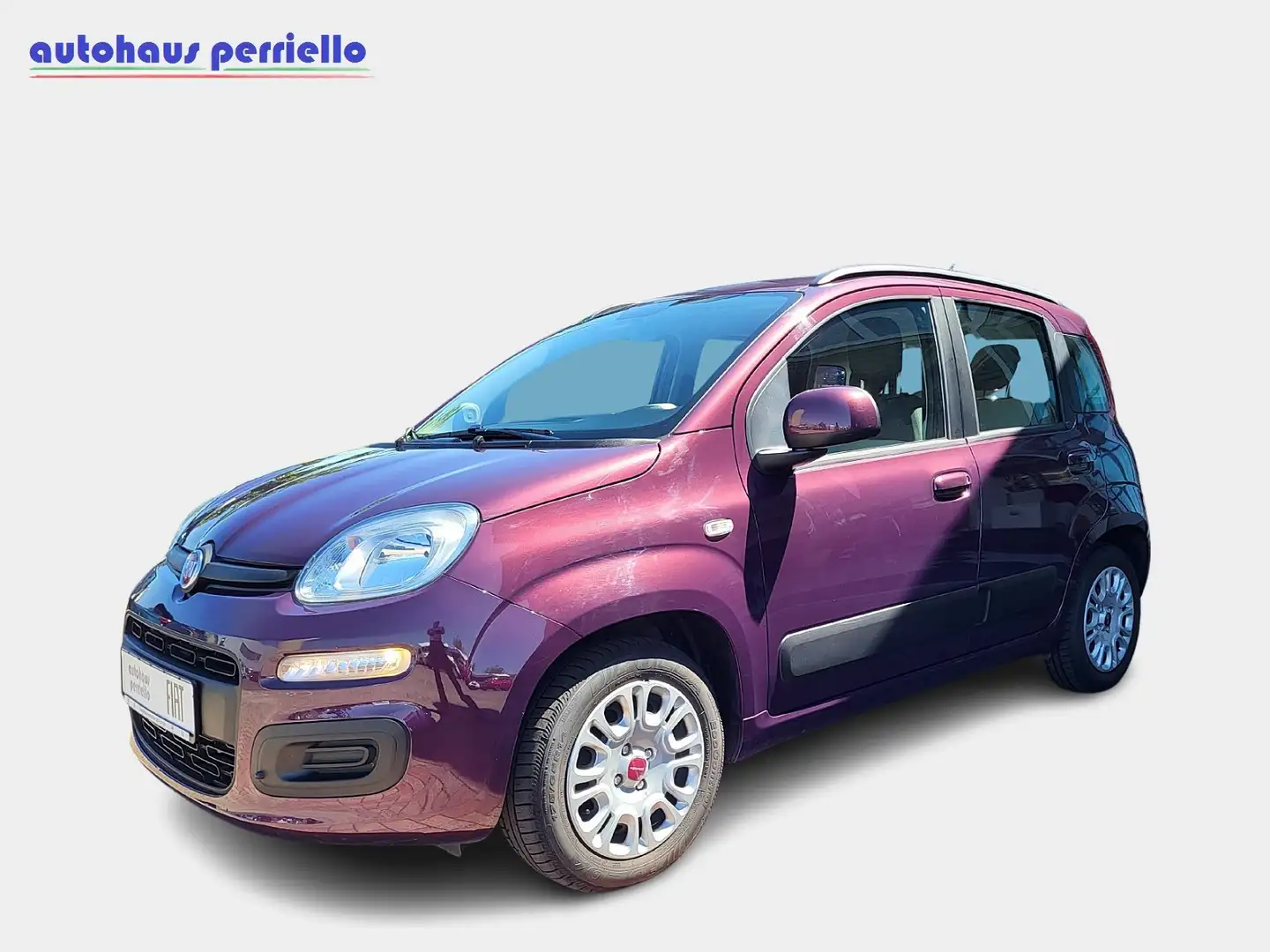 Fiat Panda Lounge 1.2 8V Violett - 2