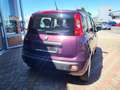 Fiat Panda Lounge 1.2 8V Paars - thumbnail 3