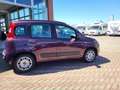 Fiat Panda Lounge 1.2 8V Paars - thumbnail 4