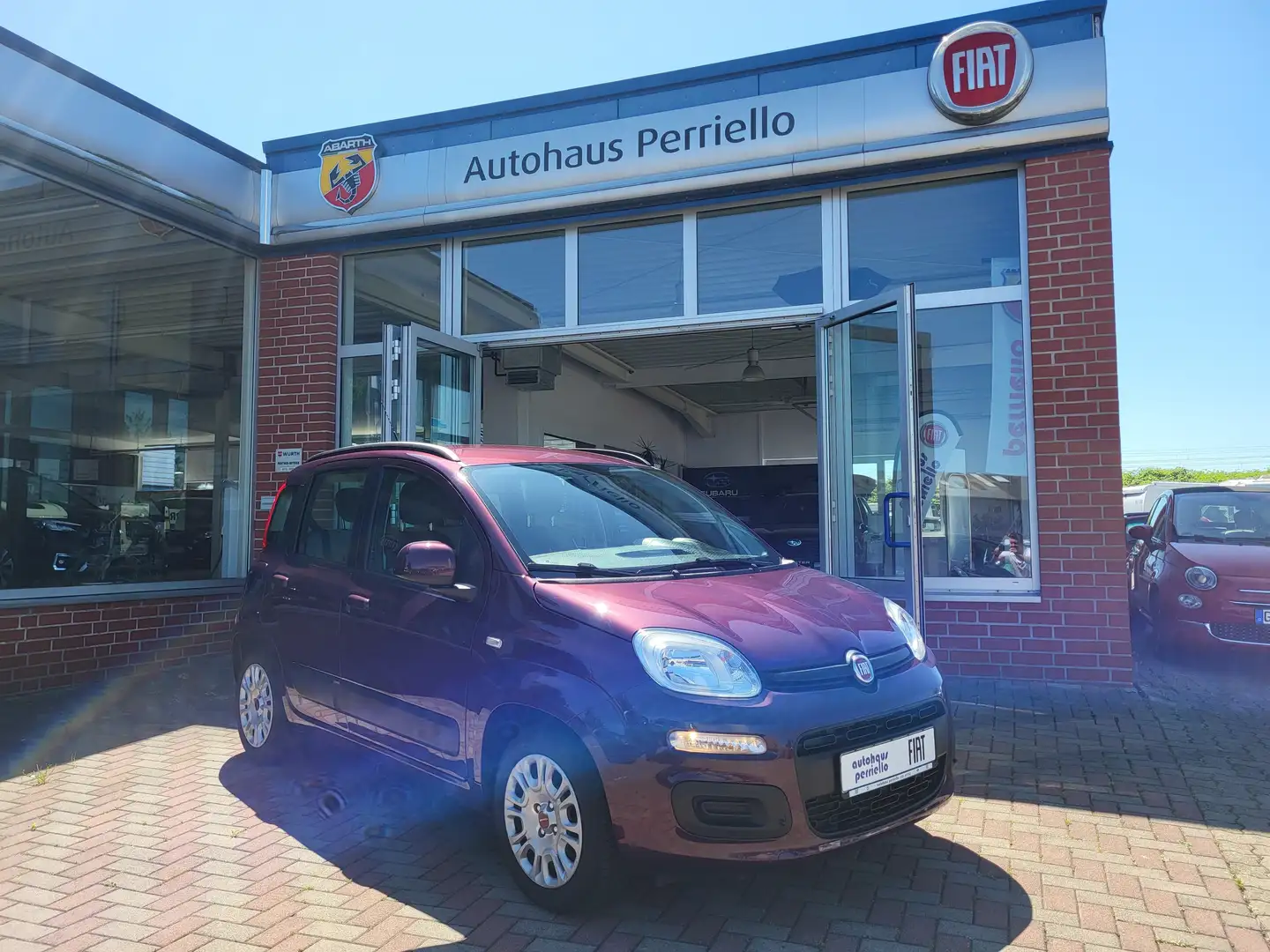 Fiat Panda Lounge 1.2 8V Paars - 1