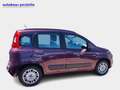 Fiat Panda Lounge 1.2 8V Mauve - thumbnail 4