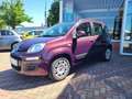 Fiat Panda Lounge 1.2 8V Paars - thumbnail 2