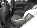 Kia Sportage Nightline Edition 4WD Mild-Hybrid Navi Leder digit Gris - thumbnail 11