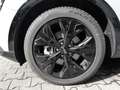 Kia Sportage Nightline Edition 4WD Mild-Hybrid Navi Leder digit Gris - thumbnail 3