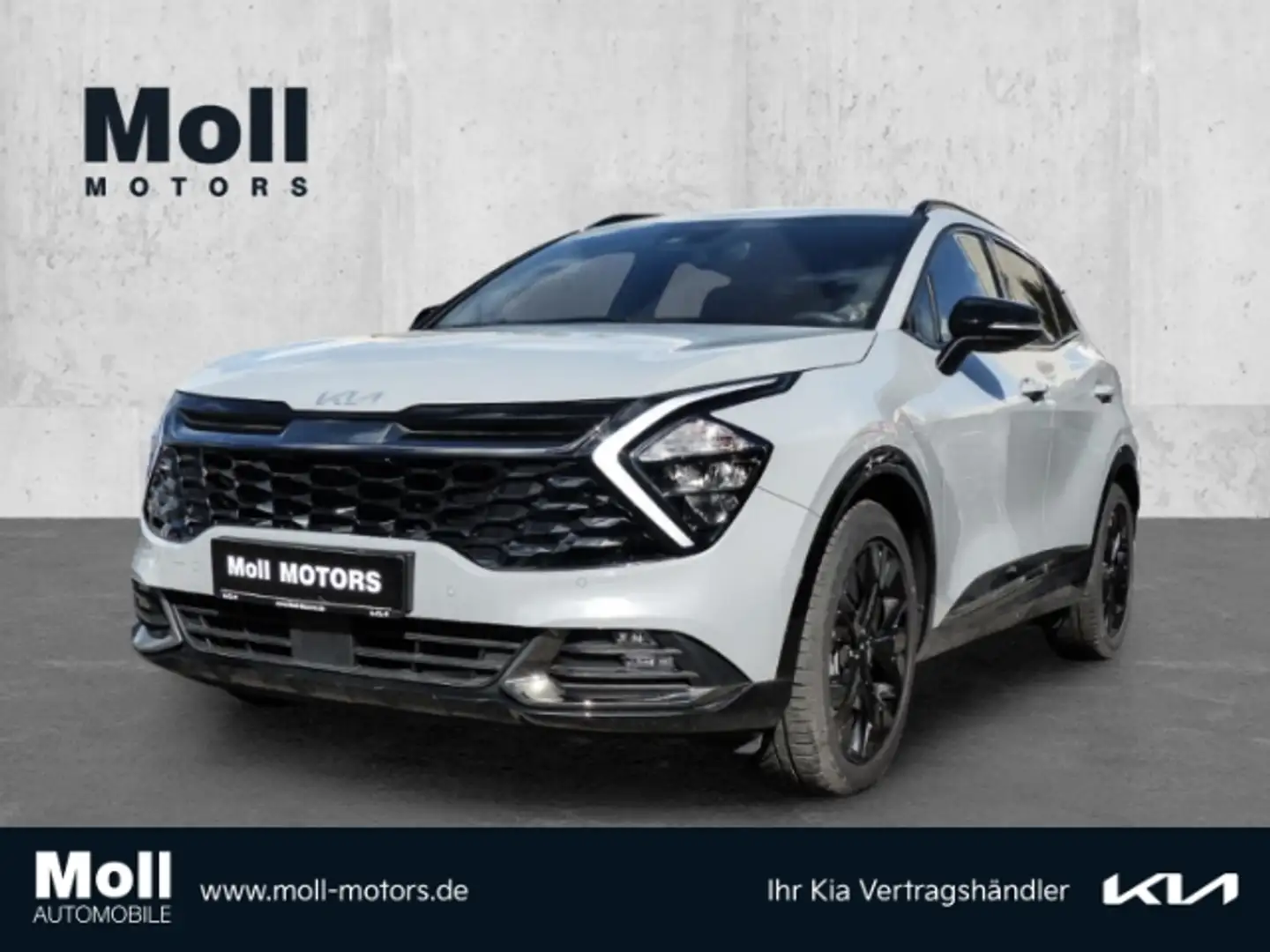 Kia Sportage Nightline Edition 4WD Mild-Hybrid Navi Leder digit Gris - 1