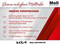 Kia Sportage Nightline Edition 4WD Mild-Hybrid Navi Leder digit Gris - thumbnail 13