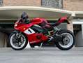 Ducati Panigale V4 Rojo - thumbnail 6