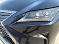 Lexus RX 450h RX 450h 3.5 Executive 263cv cvt Blu/Azzurro - thumbnail 14