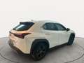 Lexus UX 250h 2.0 Urban 2wd cvt UNICO PROPRIETARIO Bianco - thumbnail 4
