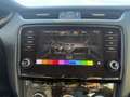 Skoda Octavia Style Grau - thumbnail 13