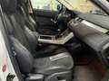 Land Rover Range Rover Evoque 5p 2.2 Td4 4x4 Blanc - thumbnail 12