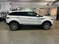 Land Rover Range Rover Evoque 5p 2.2 Td4 4x4 Blanc - thumbnail 10