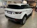 Land Rover Range Rover Evoque 5p 2.2 Td4 4x4 Blanc - thumbnail 2