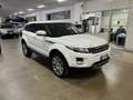 Land Rover Range Rover Evoque 5p 2.2 Td4 4x4 Blanc - thumbnail 8