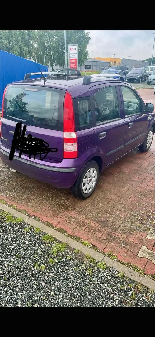 Fiat Panda Panda 1.2 Emotion Violet - 2