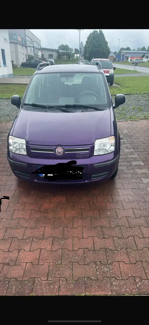 Fiat Panda Panda 1.2 Emotion Violet - 1