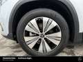 Mercedes-Benz EQA 350 EQA 350 4M Progressive 18" Kamera Vorr.Distronic Silber - thumbnail 14