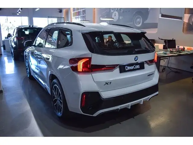 BMW X1 view 22