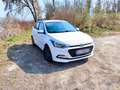 Hyundai i20 i20 1,25 Edition 25 Edition 25 Weiß - thumbnail 5