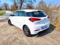 Hyundai i20 i20 1,25 Edition 25 Edition 25 Weiß - thumbnail 3