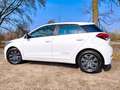 Hyundai i20 i20 1,25 Edition 25 Edition 25 Weiß - thumbnail 2