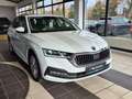 Skoda Octavia 2.0 TDI Android AHK PDC PANO LED Blanco - thumbnail 4