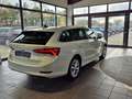 Skoda Octavia 2.0 TDI Android AHK PDC PANO LED Blanco - thumbnail 21