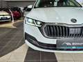 Skoda Octavia 2.0 TDI Android AHK PDC PANO LED Blanco - thumbnail 26