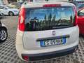Fiat Panda Panda III 2012 1.2 Pop 69cv E6 Beige - thumbnail 5
