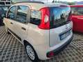 Fiat Panda Panda III 2012 1.2 Pop 69cv E6 Beige - thumbnail 4