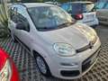 Fiat Panda Panda III 2012 1.2 Pop 69cv E6 Beige - thumbnail 3