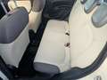 Fiat Panda Panda III 2012 1.2 Pop 69cv E6 Beige - thumbnail 10