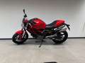 Ducati Monster 696 Rouge - thumbnail 2