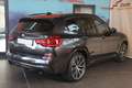 BMW X3 xDr.30d M-Sport.Panod.AHK.eSitze.Standhzg.21 Gris - thumbnail 20