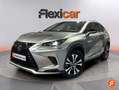 Lexus NX 300 300h Premium 2WD Beige - thumbnail 20