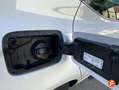 SEAT Ibiza 1.0 TSI 85kW Special Edition Xcellence Blanco - thumbnail 32