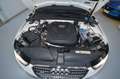 Audi A4 allroad quattro 2.0TDI CD 150 Blanco - thumbnail 10